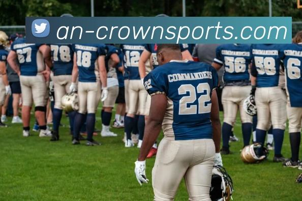 皇冠体育官网平台生态图